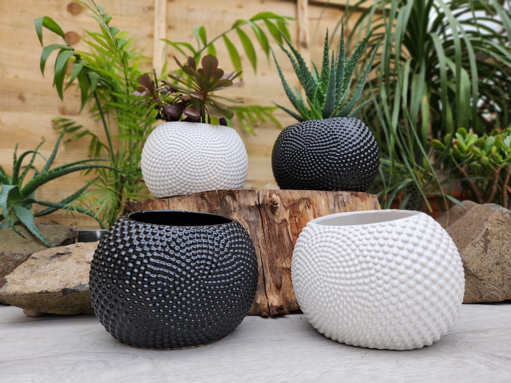12cm Yin & Yang Pot - Empty (2)