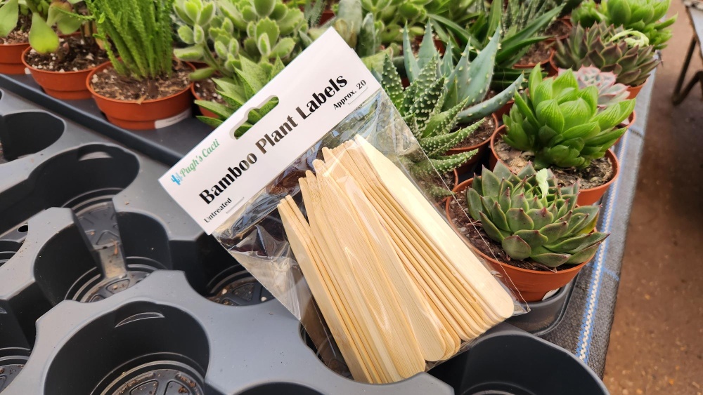 Bamboo Plant Labels (24) - UK specialist wholesaler of Cacti & Succculents