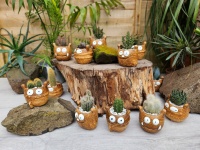 5.5cm Little Monster Pot with Plant (12)