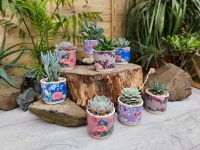 8.5cm Exotic Bird Pot with Plant (8)