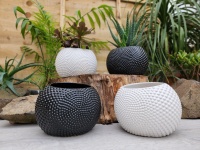 12cm Yin & Yang Pot - Empty (2)
